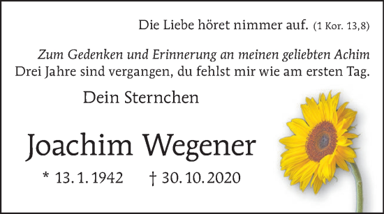 Traueranzeige von Joachim Wegener von Tagesspiegel